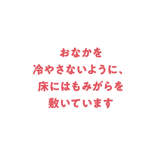 おなかを冷やさないように、床にはもみがらを敷いています