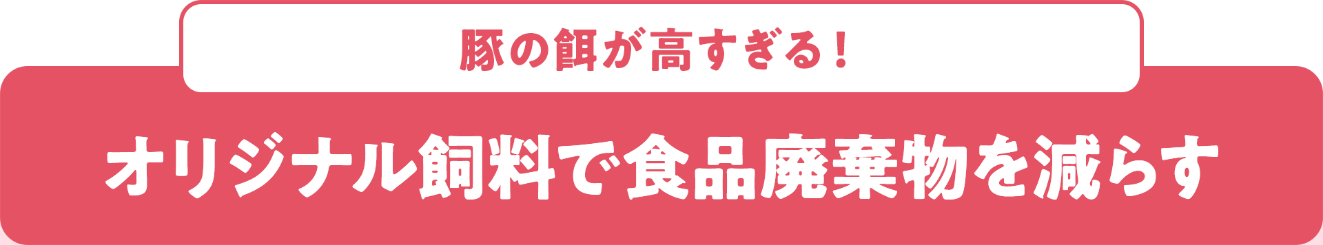 豚の餌が高すぎる！ オリジナル飼料で食品廃棄物を減らす