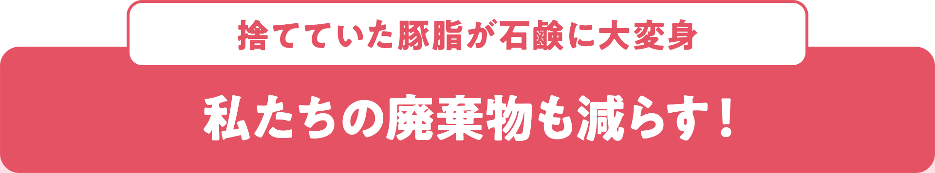 捨てていた豚脂が石鹸に大変身 私たちの廃棄物も減らす！