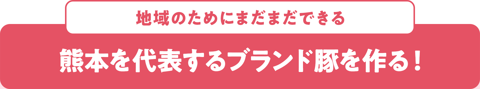 地域のためにまだまだできる 熊本を代表するブランド豚を作る！