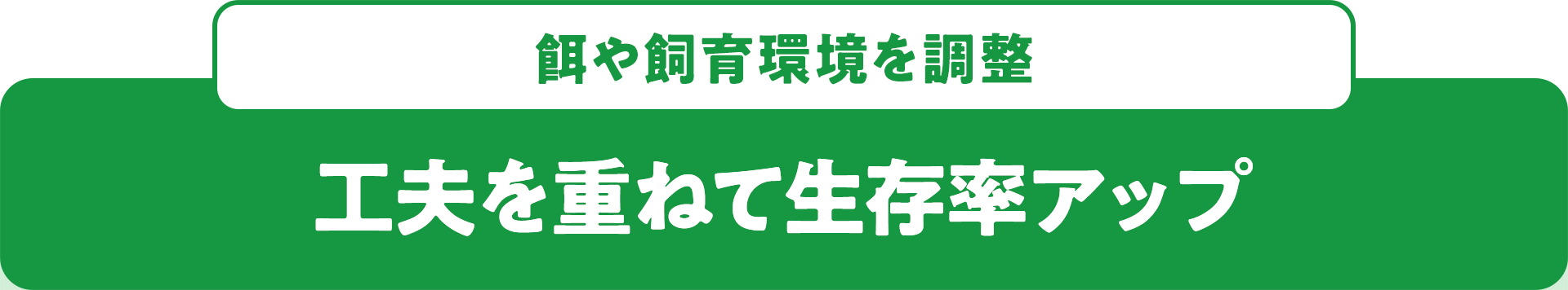 餌や飼育環境を調整 工夫を重ねて生存率アップ