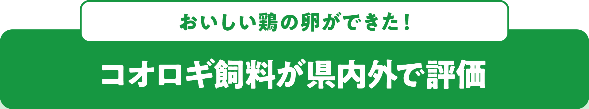 おいしい鶏の卵ができた！ コオロギ飼料が県内外で評価