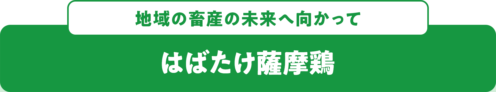 地域の畜産の未来へ向かって はばたけ薩摩鶏