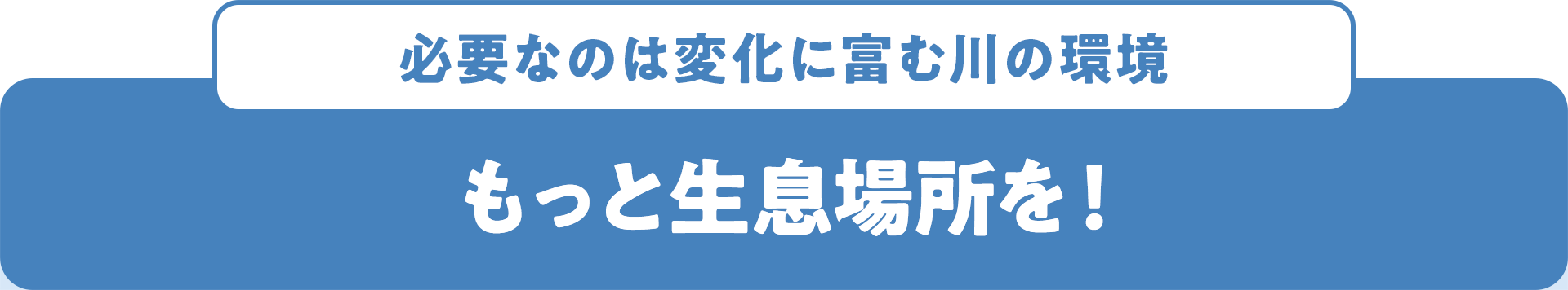 必要なのは変化に富む川の環境 もっと生息場所を！